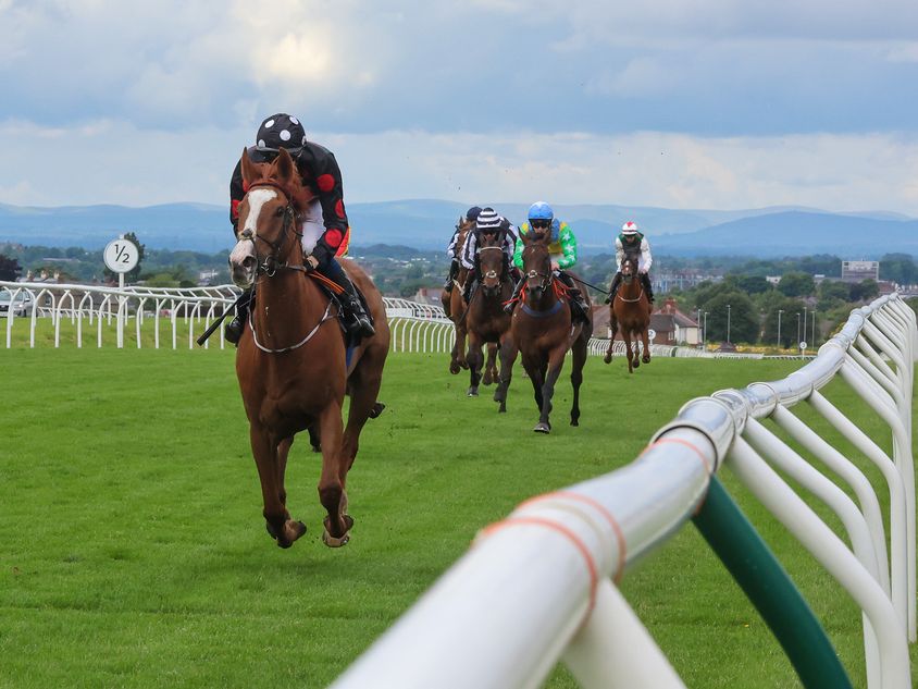 2.55 Leopardstown: Dublin Racing Festival provides key piece of form to tricky mares' handicap hurdle