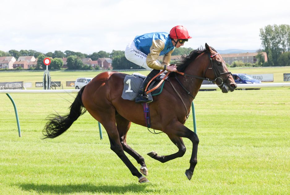 Wathnan Racing Post Wathnan Racing: who could represent the big-spending outfit at ...