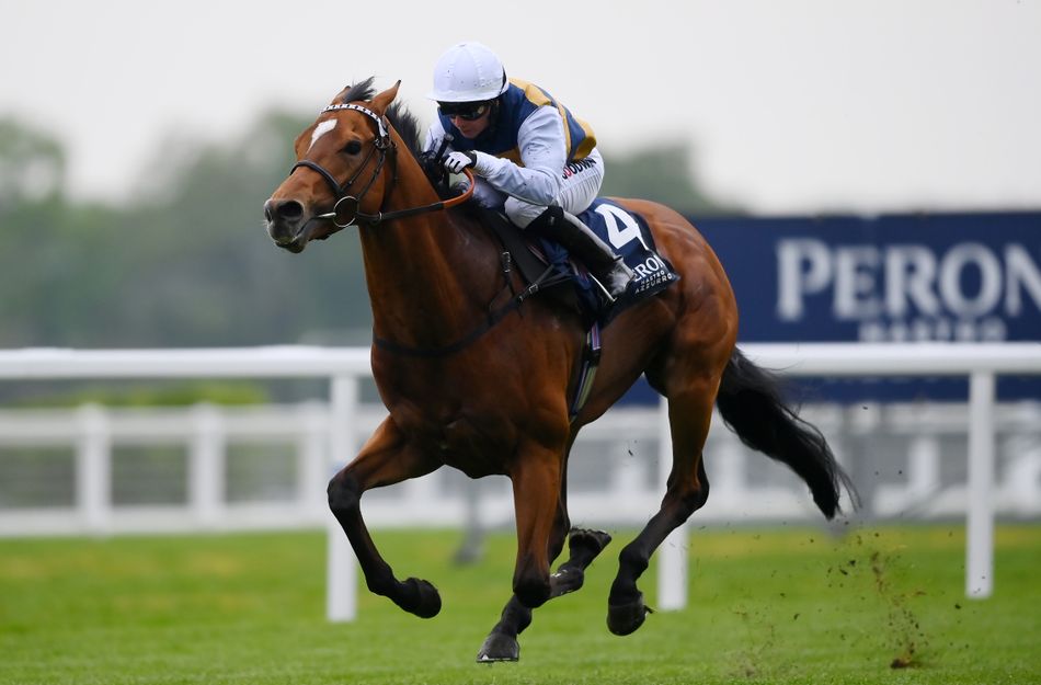 'He could really be quite exciting' - Docklands set to step up in trip ...