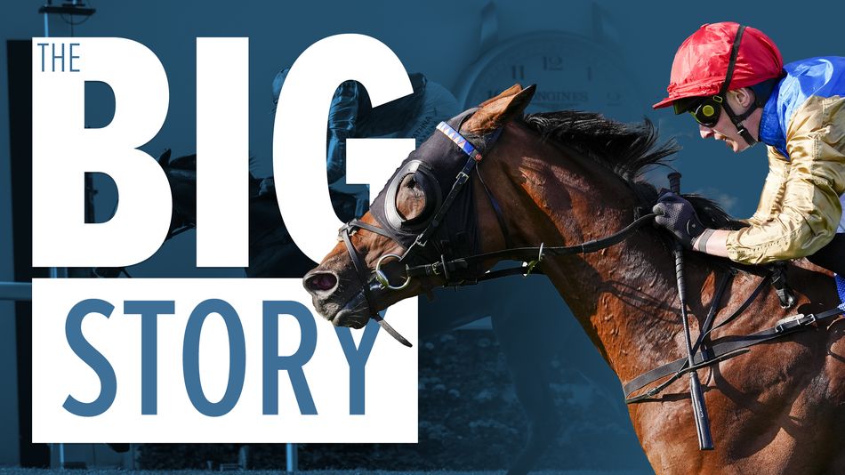 Wathnan Racing Post 'We're all excited' - Wathnan team turn attention to Goodwood riches ...