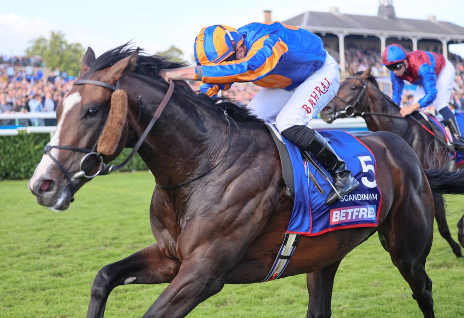 Classic winner Scandinavia heads star-studded line-up as Aidan O'Brien chases more Gold Cup glory
