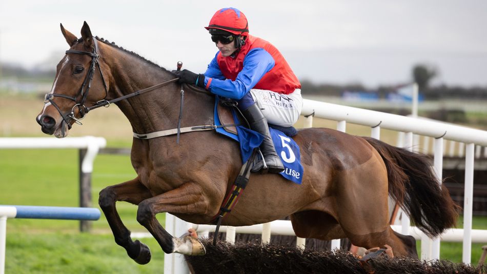 'Facile Vega could easily step up in trip but I don't need to' - Mullins on festival aim | Racing Post