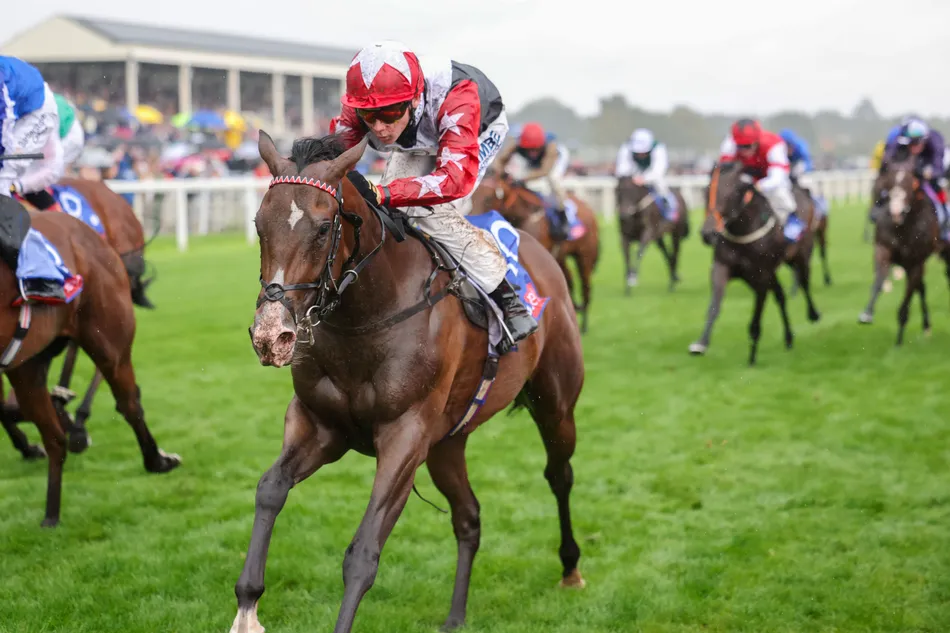 'She's a proper Group 1 filly' - George Boughey may be saying goodbye to Bow Echo, but he has a new star on his hands in Libertango