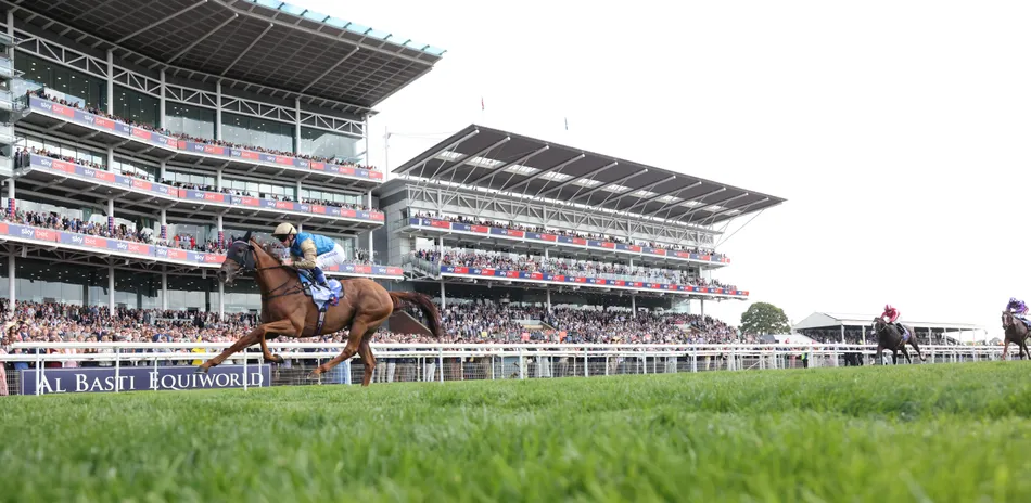 'He's up there with the best in the country' - Hamad Al Jehani shows off training talents with Archivist's Strensall demolition