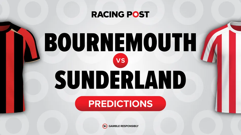 Photo: Racing Post Bournemouth 2-0 Sunderland: Cherries Secure First Premier League Win