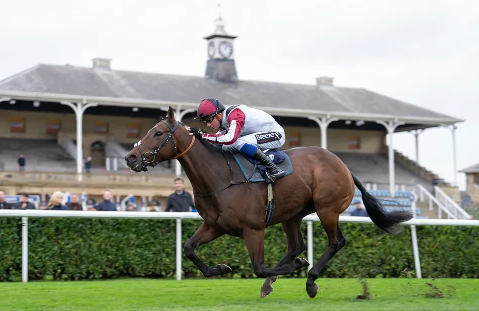 Al Shabab Storm relishes the rain for Mick Appleby before trainer sets off for sunnier climes at Breeders' Cup