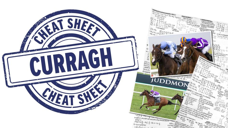 Will Charles Darwin finally evolve into a top-class sprinter? Your cheat sheet for the top-class Irish Oaks undercard at the Curragh