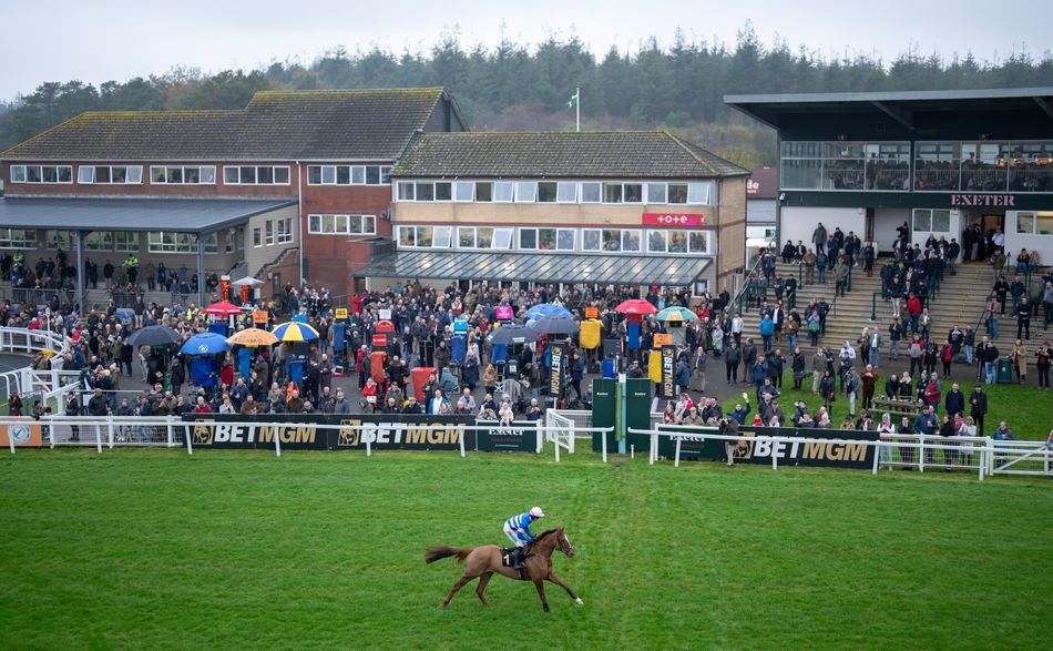 Exeter and Plumpton count the cost with 52 runners across 13 races on ...