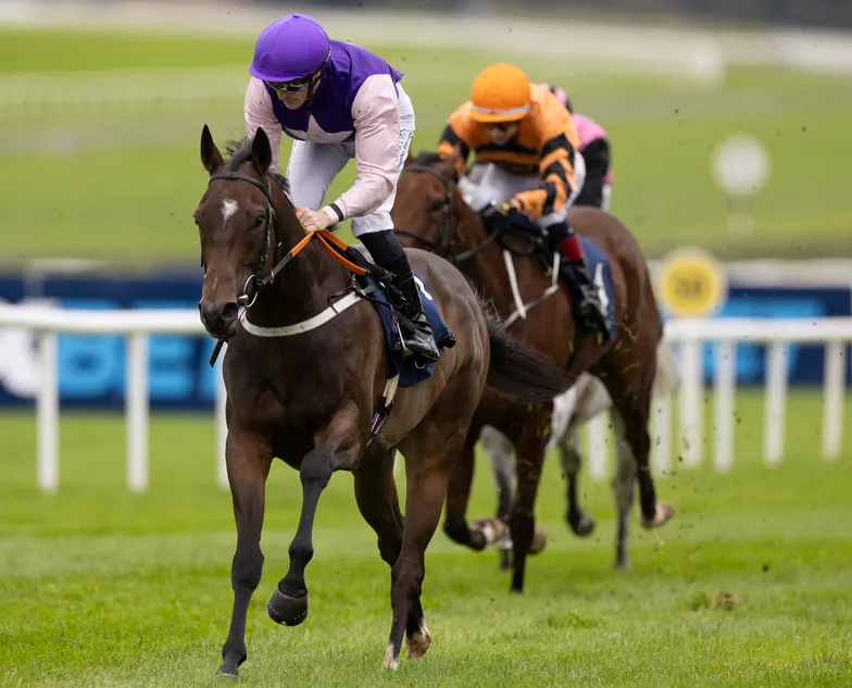 Billy Lee edges closer to first jockeys' championship as he teams up ...