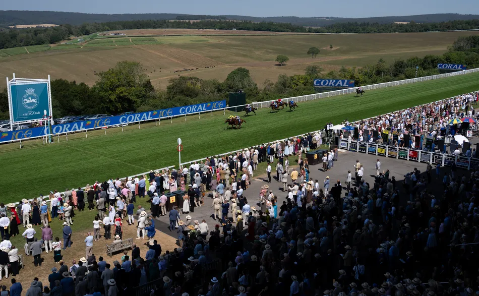 Goodwood hopeful of maintaining good to firm, good in places for rest of the meeting