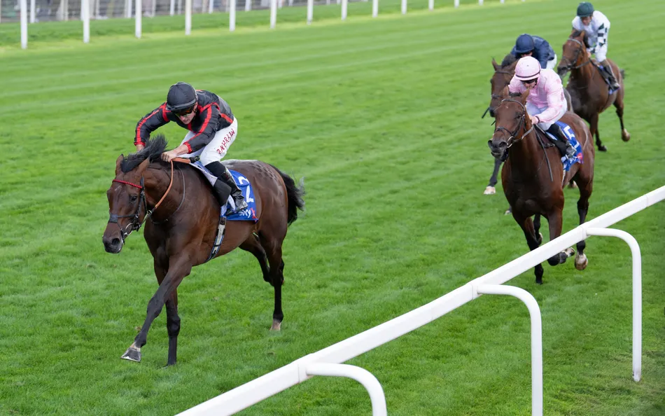 William Haggas to bypass St Leger with Maltese Cross and head to Arc instead