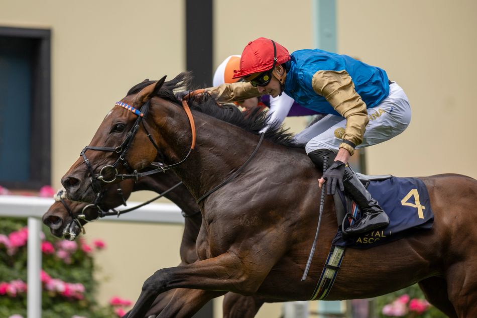 'I don't see any reason why not' - Wathnan Racing could turn to Royal Ascot winner in bid for first Classic success
