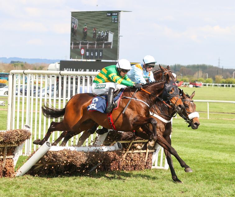 Stayers' Hurdle hero Sire Du Berlais flies home to land second Liverpool Hurdle Racing Post