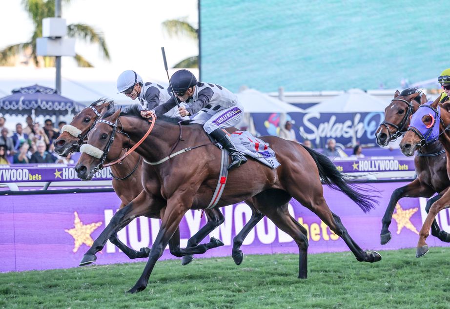 'I blacked out in the home straight' - wall of noise greets winning team as trainer and jockey shine in loud and proud Durban July