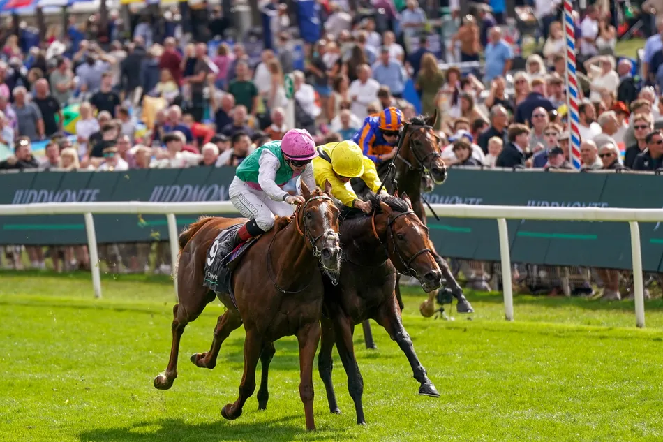 Almaqam trades at 1.01 in Juddmonte International defeat as Ed Walker says 'it's a hard one to take'