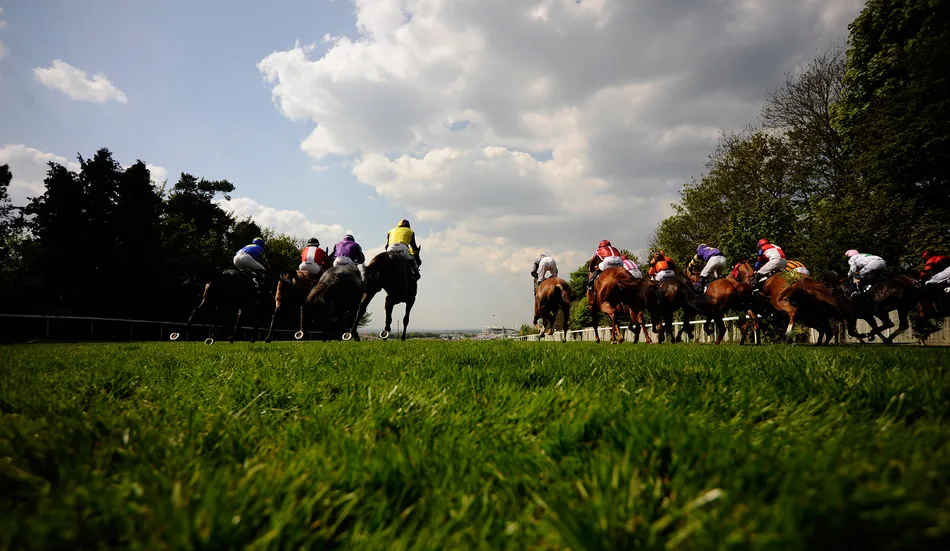 Arc chief warns of 'truly grave' threat from tax rises in impassioned defence of betting shops