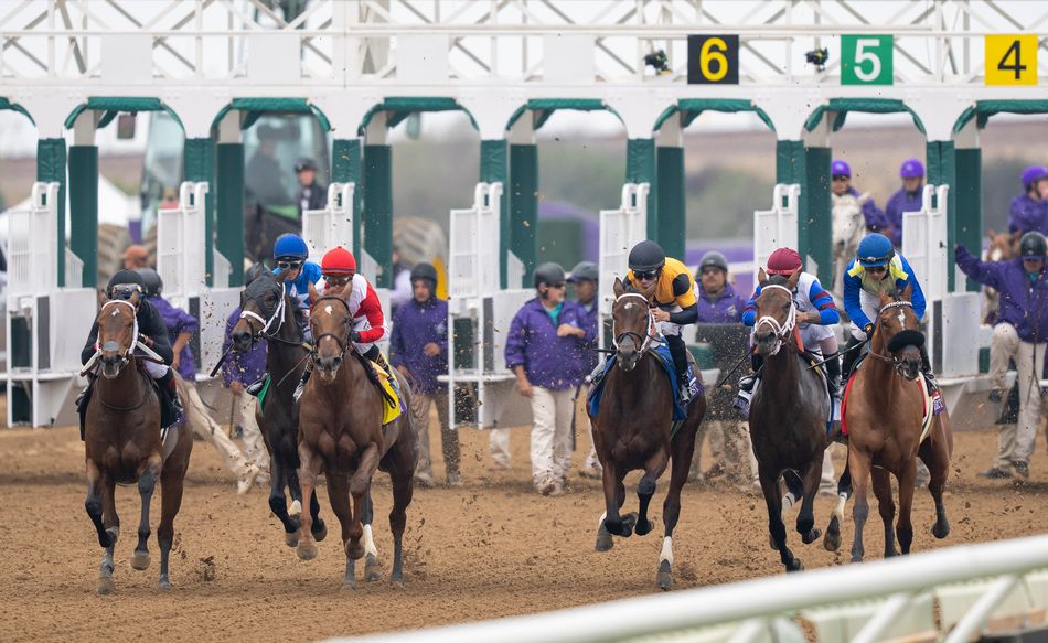 'We do owe an apology' - runner disqualified after stewards shown wrong ...