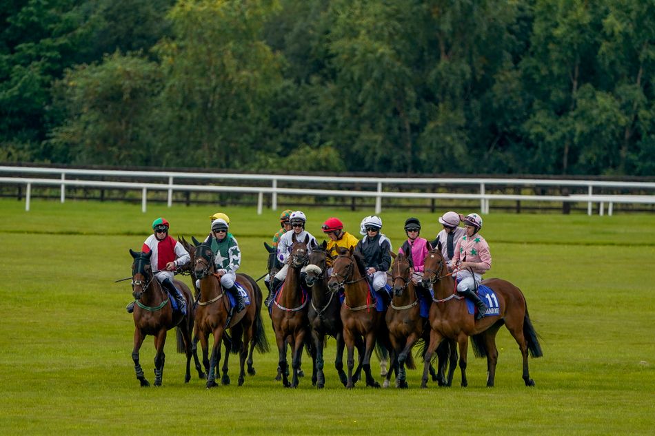 Implement Race Trainers' association backs regulator's move to implement pre-race ...