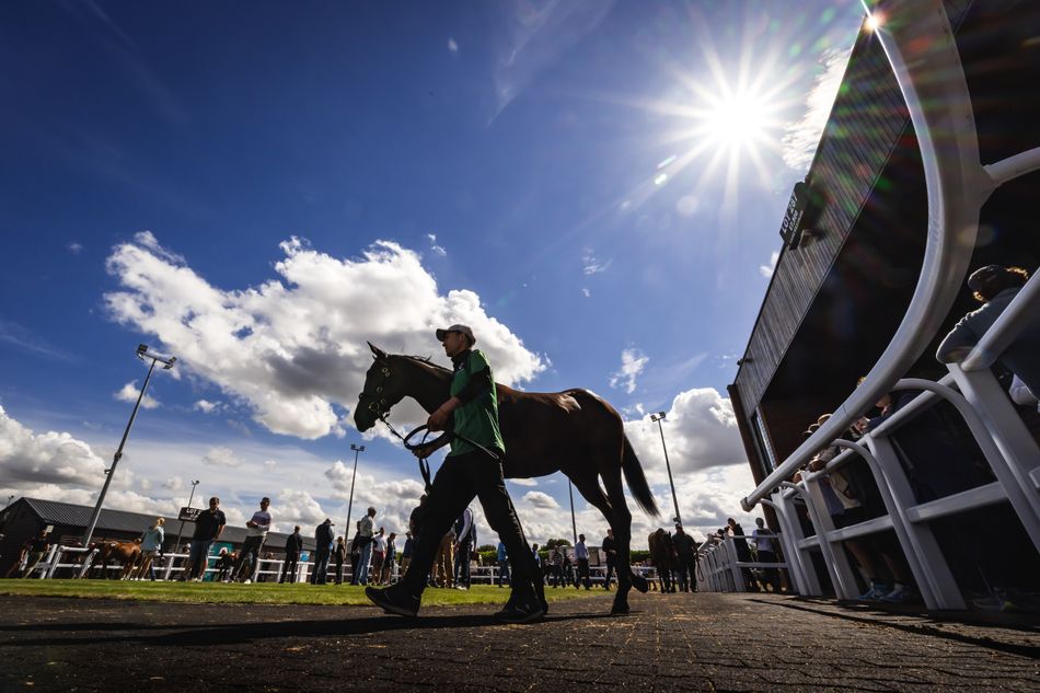 Goffs launches new £250,000 bonus series for Doncaster Premier graduates