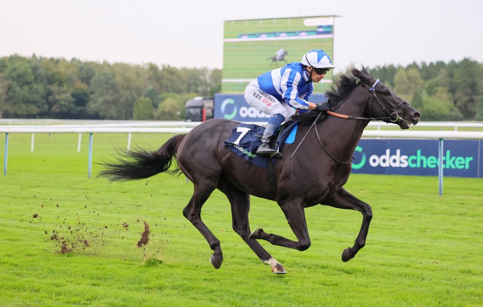 'If there is a Classic contender in this year's race it is surely him' - our experts' three horses to watch on the ITV undercard