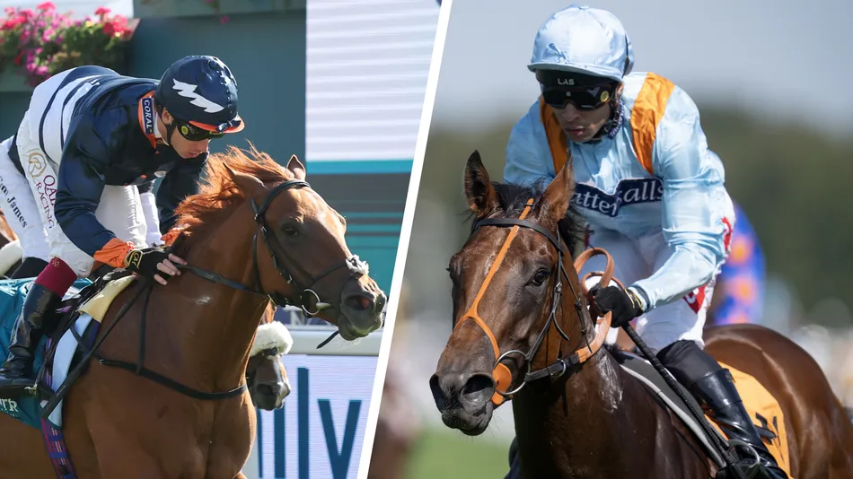 Breeders' Cup clues likely in the Flying Childers - and not just for the favourite Pershaada