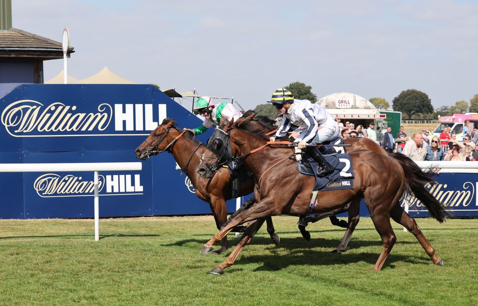 William Hill parent company Evoke reports improved performance as gaming drives gains and retail returns to growth