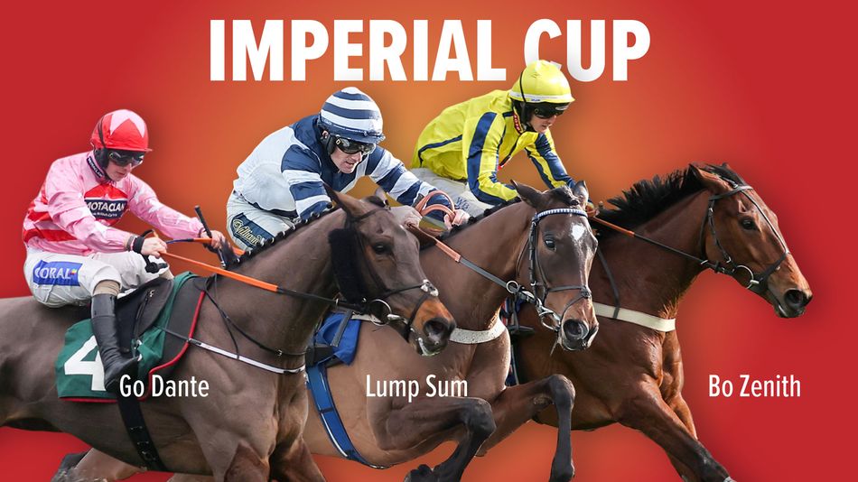 Oll Murphy Racing 'He's been trained for the race' - Olly Murphy hoping Go Dante can come ...