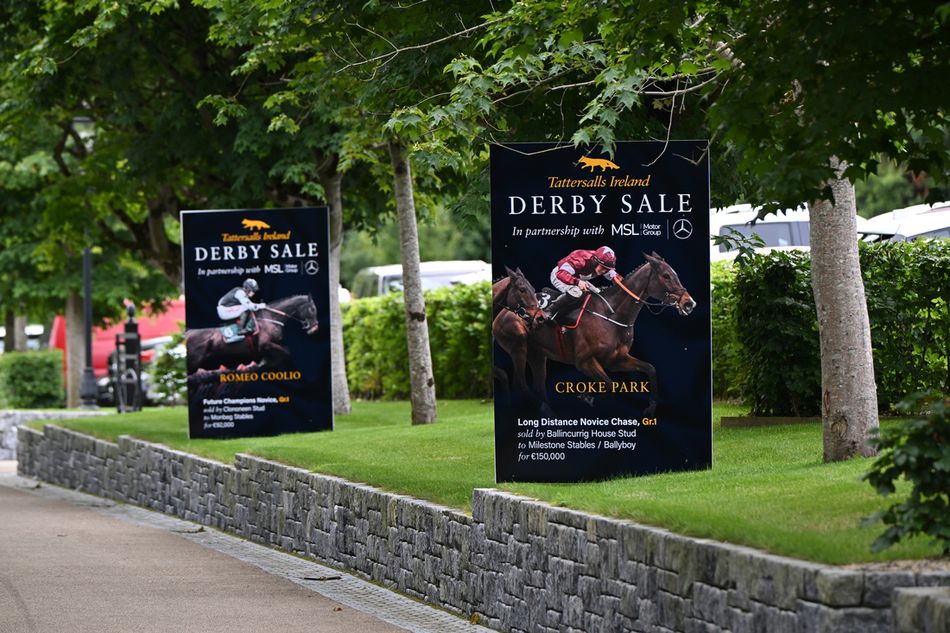 Lots to watch: siblings to Brighterdaysahead and Special Tiara among the headline acts at the Derby Sale
