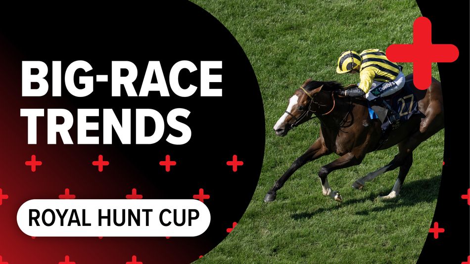 Big-race trends: key stats to help you find the winners of the Royal Hunt Cup