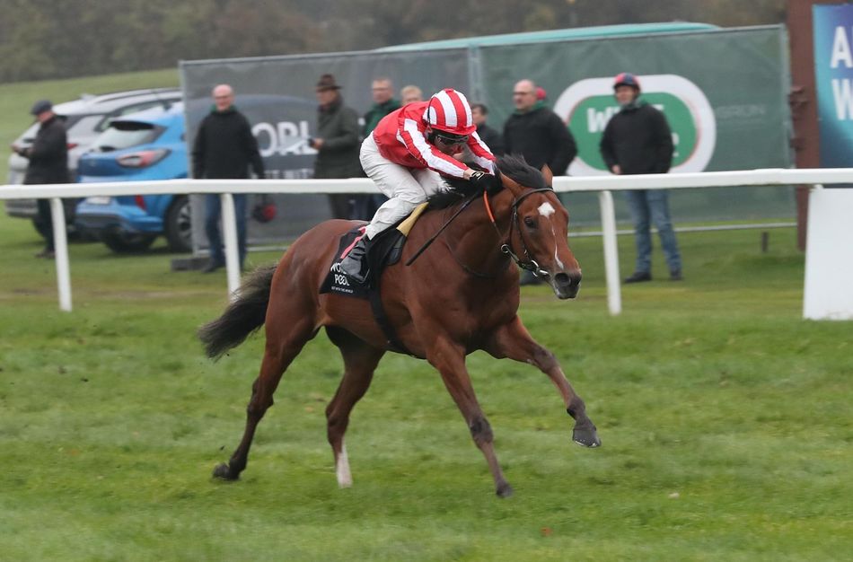 'These horses are just so hard to find' - Bay City Roller puts George ...