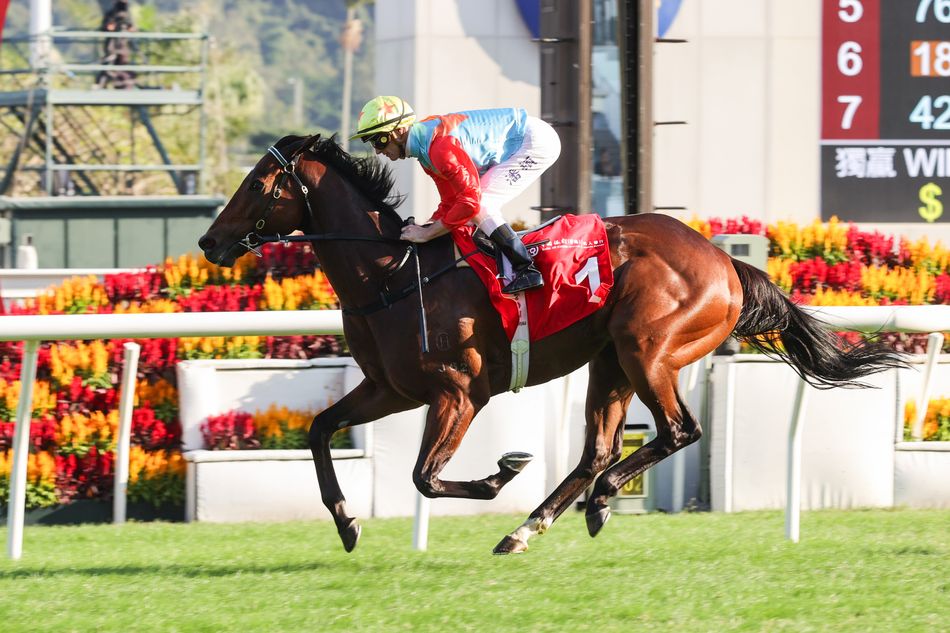 What injury scare? Ka Ying Rising breaks Sha Tin track record by a second to tee up Everest defence