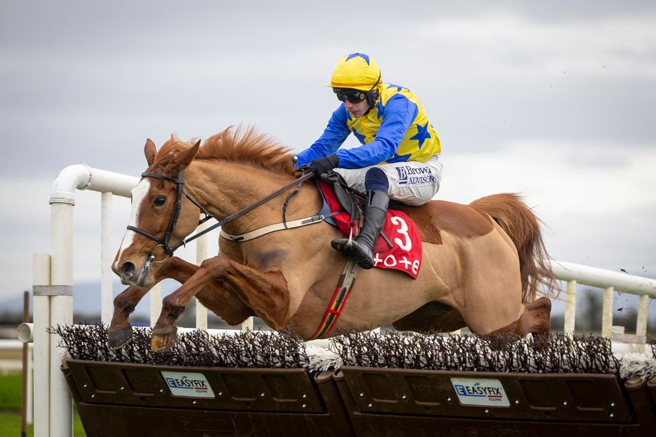 'She’s been described as the Irish banker, and her price has continued to tumble' - best quotes of the Cheltenham build-up