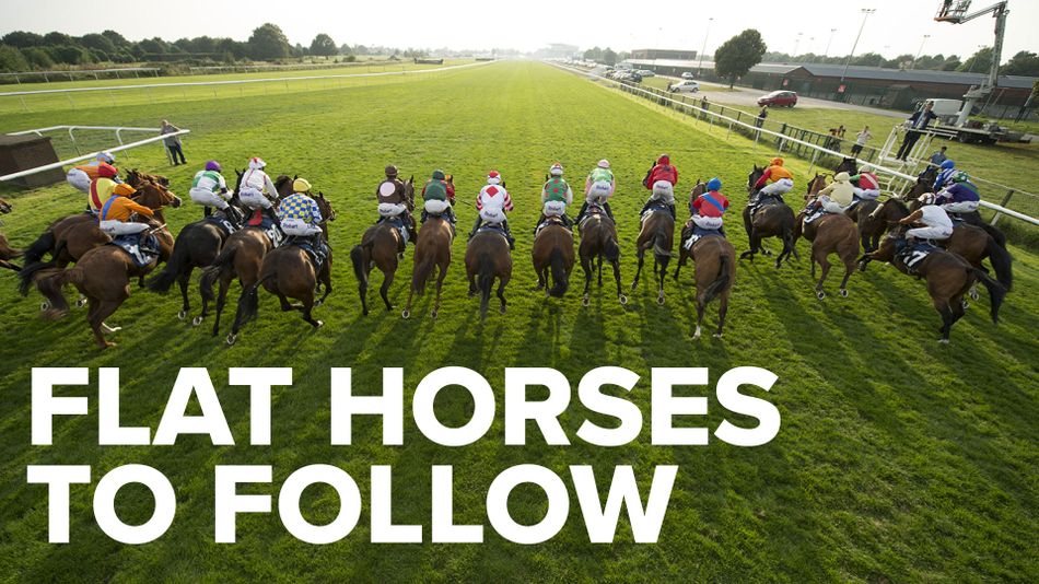 Flat season 2023 12 horses to follow from our team of experts Racing