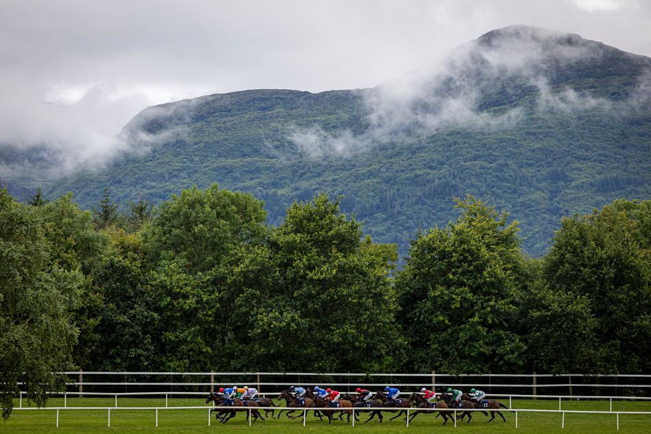 'It's an emotional day for everyone' - Cian Quirke stars on mare owned by foundation honouring his late cousin
