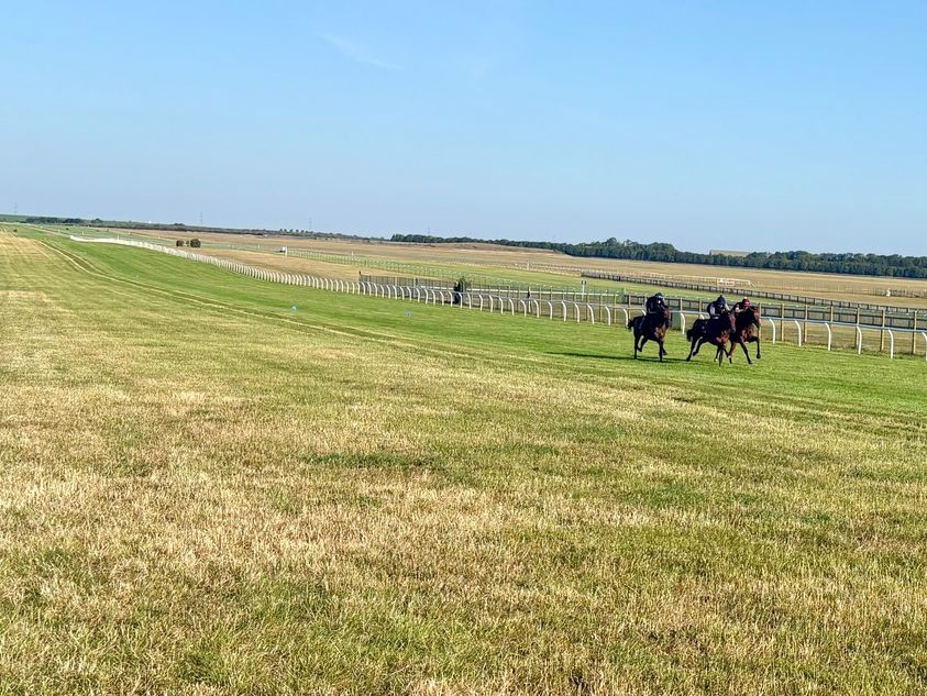 Multiple heatwaves cause partial closure of Newmarket's crucial watered gallop facility
