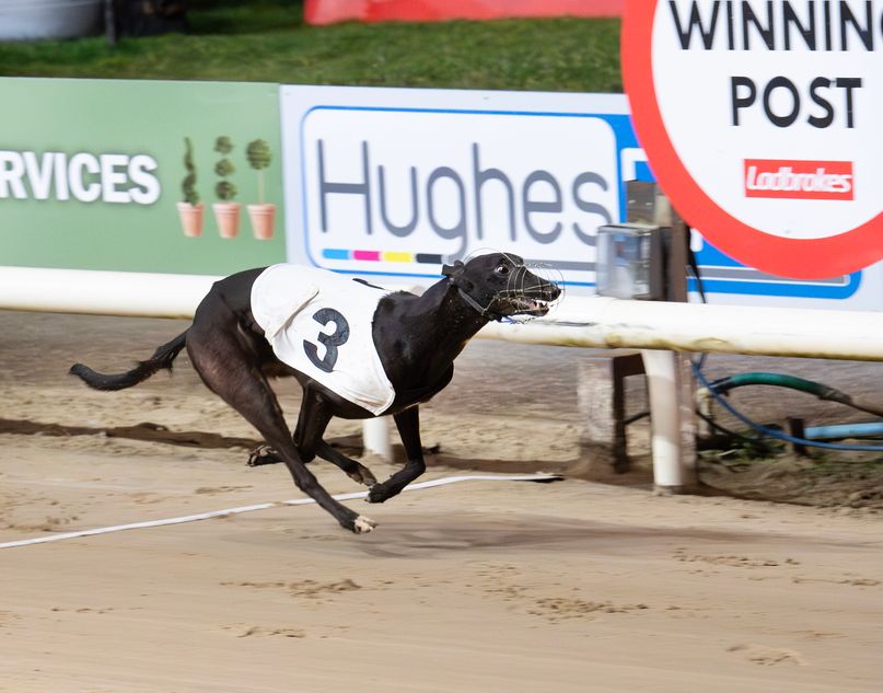 Well-travelled Gypsy sets a new best | Racing Post
