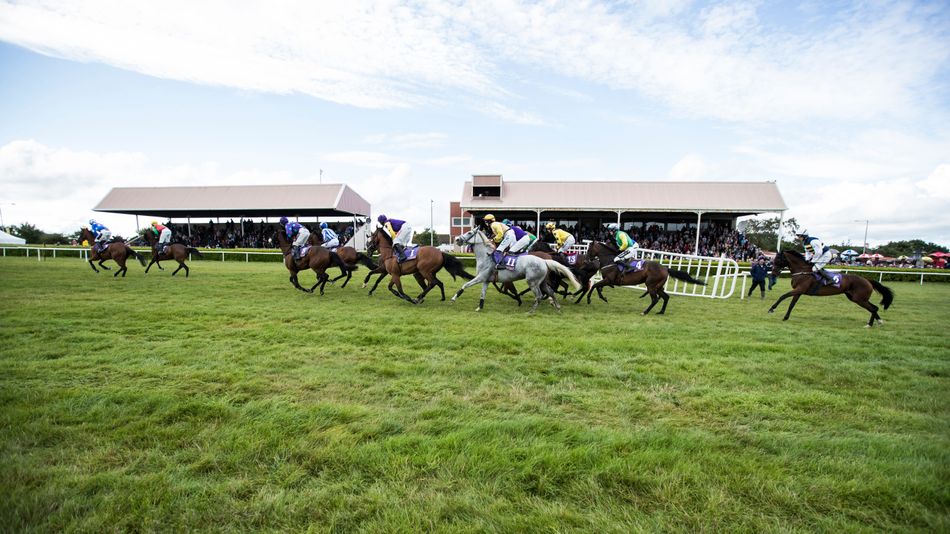 Waterlogged Wexford becomes next victim of the weather and calls off classy card