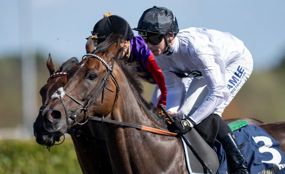 Constitution Hill raised 7lb by official handicapper despite first Flat defeat at Kempton