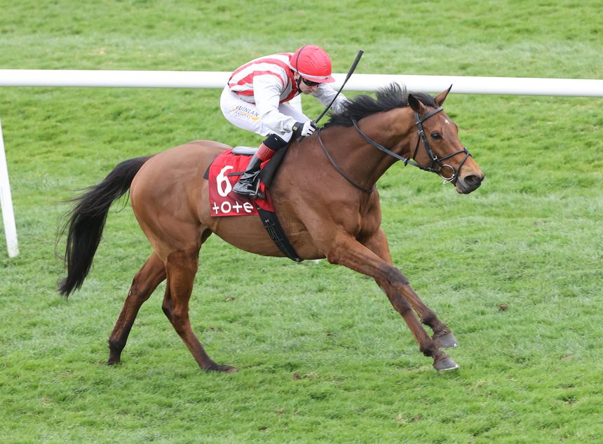 Devoy Racing 'We might go travelling' - Andy Slattery keen to explore international ...