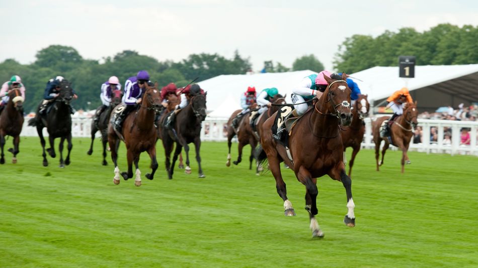 Three of the best: Juddmonte stars who have lit up Royal Ascot - Vimarsana News