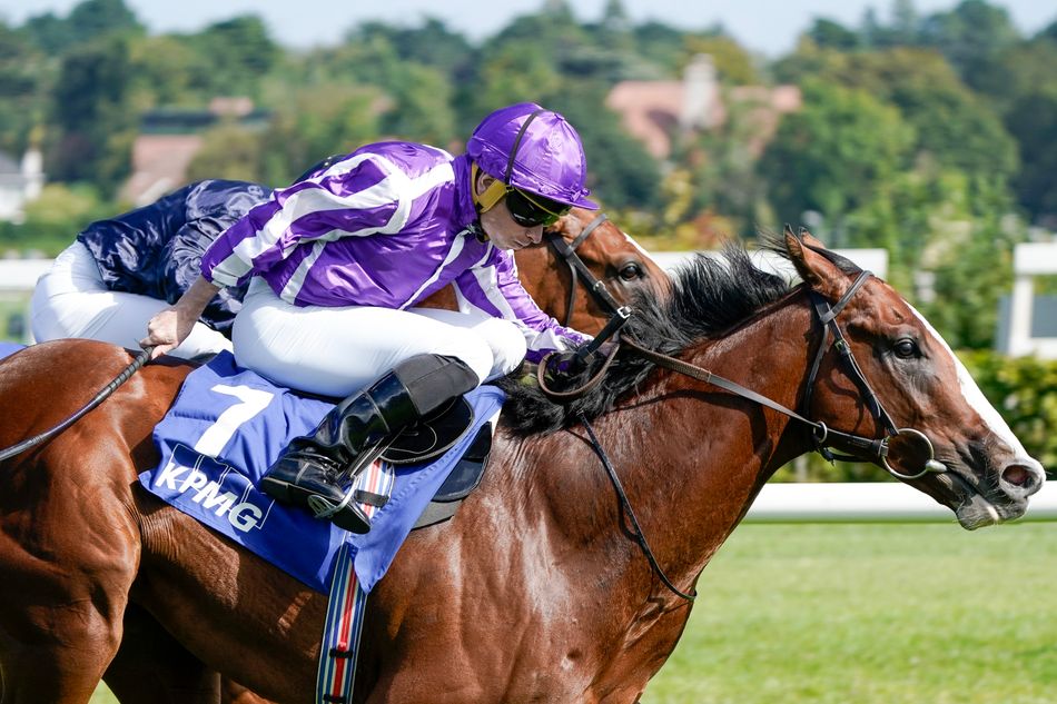 Ghostwriter and Diego Velazquez among 21 colts who remain in contention ...