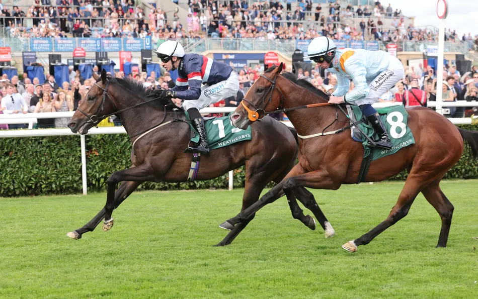 More 'jam' for Eve Johnson Houghton in her record-breaking season as Night In Vegas lands another big sales-race pot