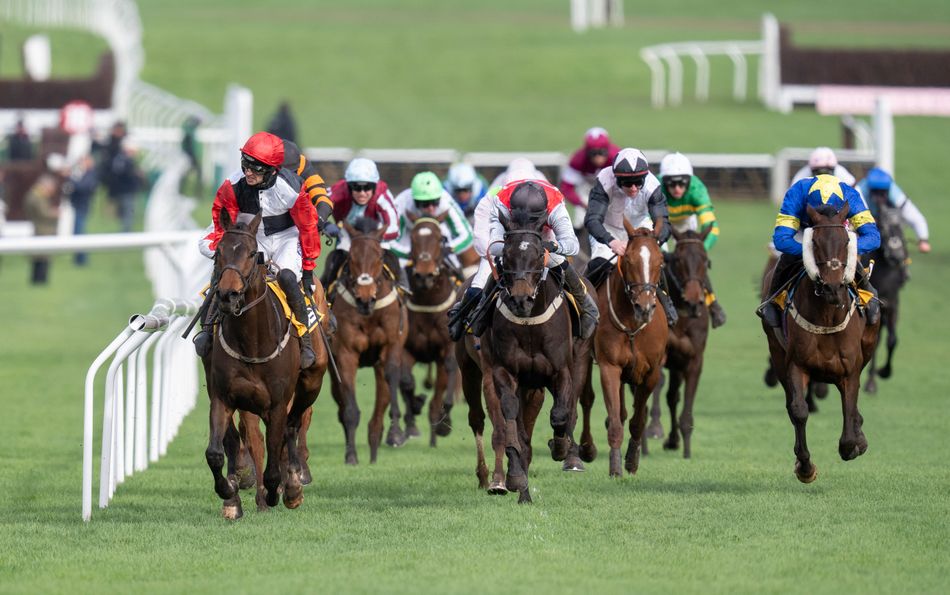 'Willie will have more runners today than I've got in training' - Adam ...