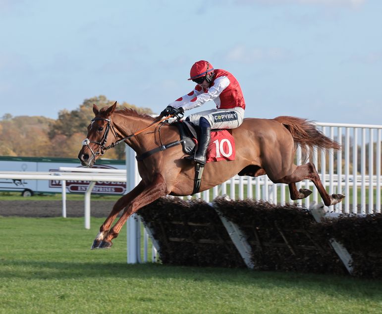 Queens Gamble ruled out of Mares' Novices' Hurdle and remainder of the ...