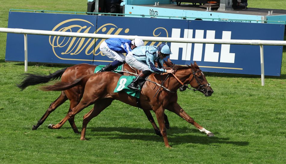 Akela Thoroughbreds celebrating again after Ryka strikes on debut for ...