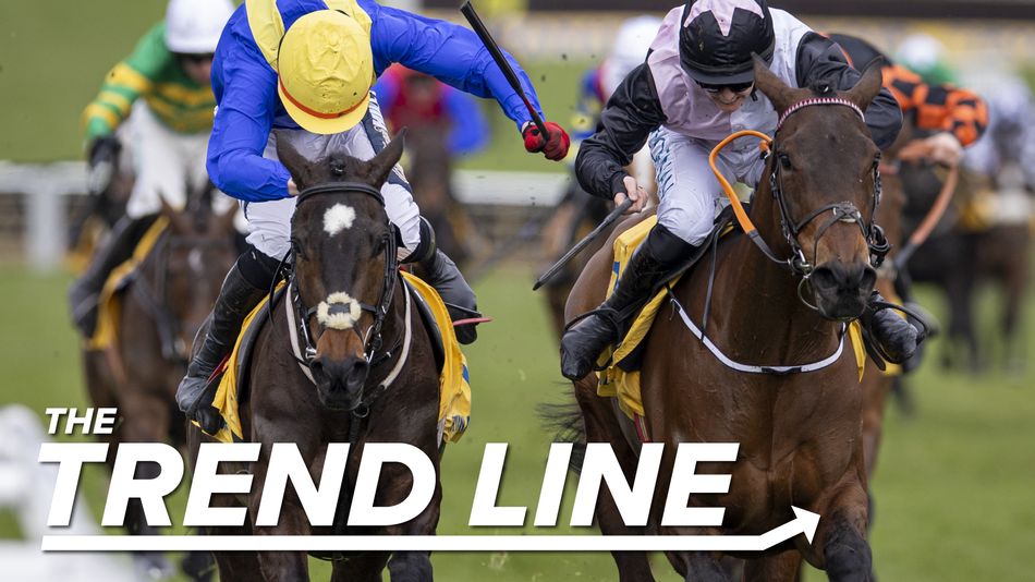 It’s a fiercely competitive Dawn Run – but only one horse already meets the standard needed to win