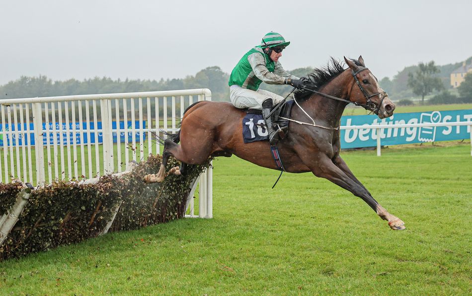 'I knew she'd have the pace' - Brian Hughes strikes on Dumb Love to ...