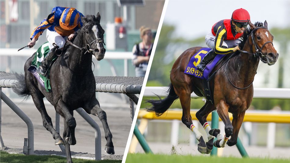 Auguste Rodin and Japanese superstar Liberty Island clash in mouthwatering Sheema Classic - Vimarsana News