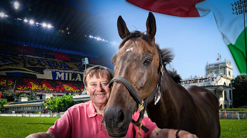 Constitution Hill target confirmed! Nicky Henderson settles on €500,000 Group 2 as next goal for racing's biggest name