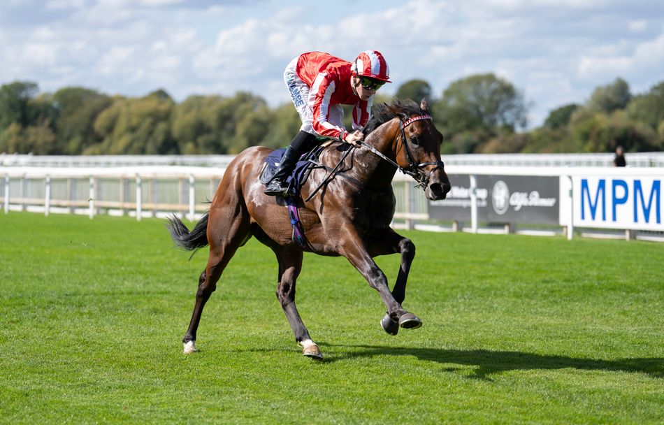 Why Newmarket's Cambridgeshire meeting looks set to be a major one for ...
